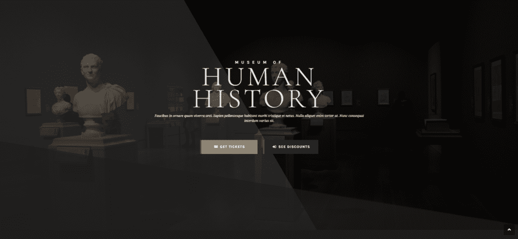 museum homepage